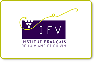 französiche Institut für Rebe und Wein